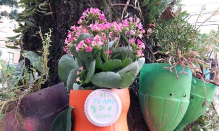 Flores em Pet decoram Vila Madalena