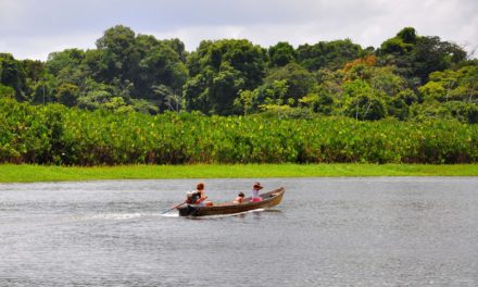 Pará ganha quatro novas unidades de conservação