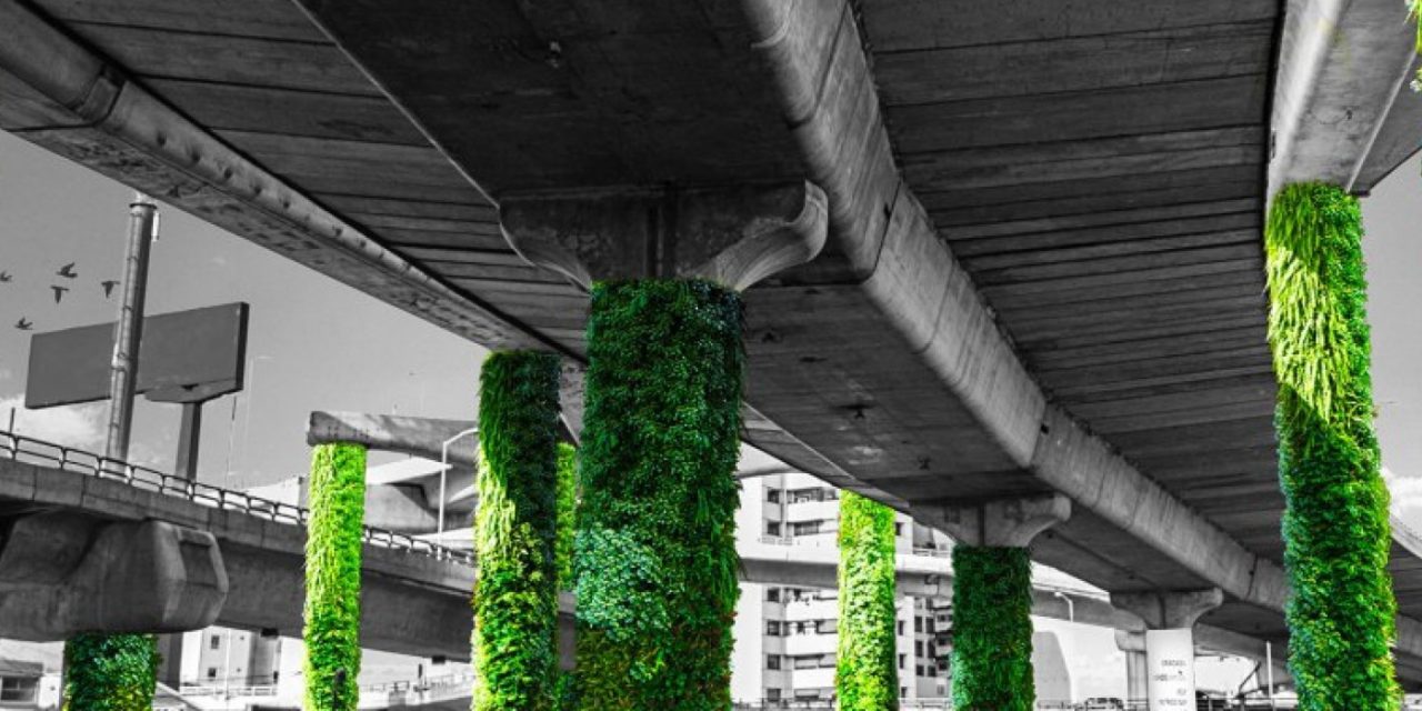 México transforma mil colunas de concreto em jardins verticais