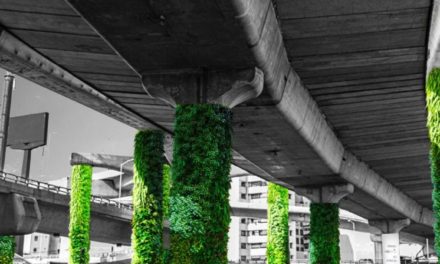 México transforma mil colunas de concreto em jardins verticais