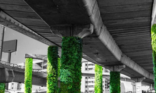 México transforma mil colunas de concreto em jardins verticais