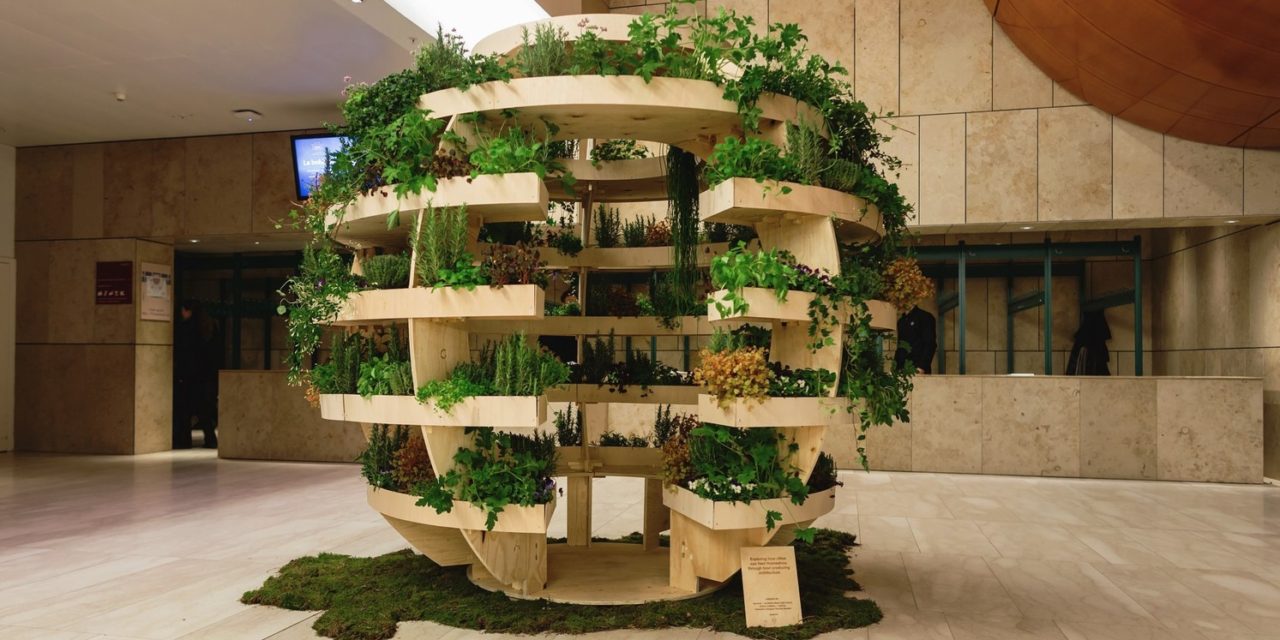 Arquitetos criam horta sustentável para espaços urbanos