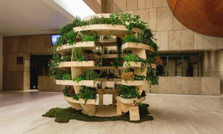 Arquitetos criam horta sustentável para espaços urbanos
