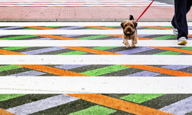 Faixas de pedestres coloridas deixam ruas de Madri mais seguras