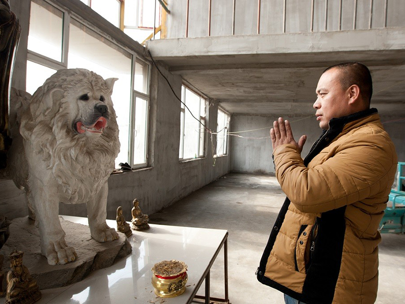O milionário chinês Wang Yan em seu centro de resgate de cães. Foto de divulgação.