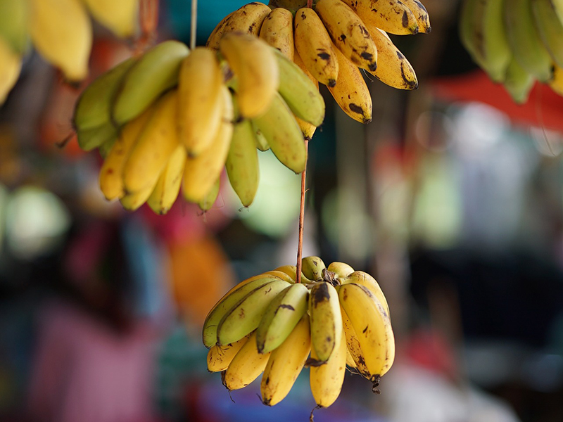 Banana é apenas um dos alimentos cujo destino é incerto após a feira.