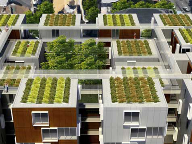 Projeto de telhados verdes que são obrigatórios na França. 