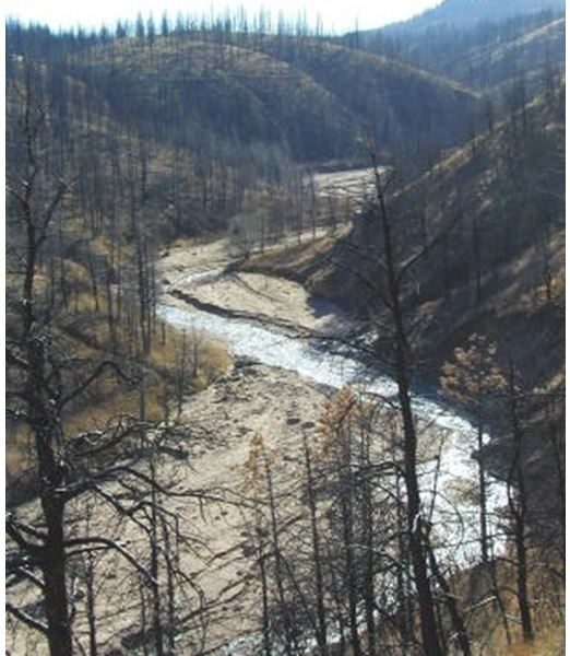 Rio South Platte coberto pelos detritos do incêndio de Buffalo Creek
