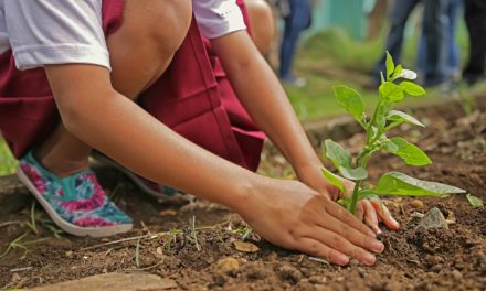 Plantio de árvores é meta em corrida na Colômbia