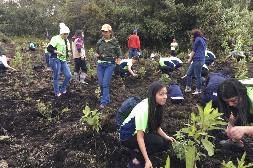 pessoas plantando árvores na Colômbia