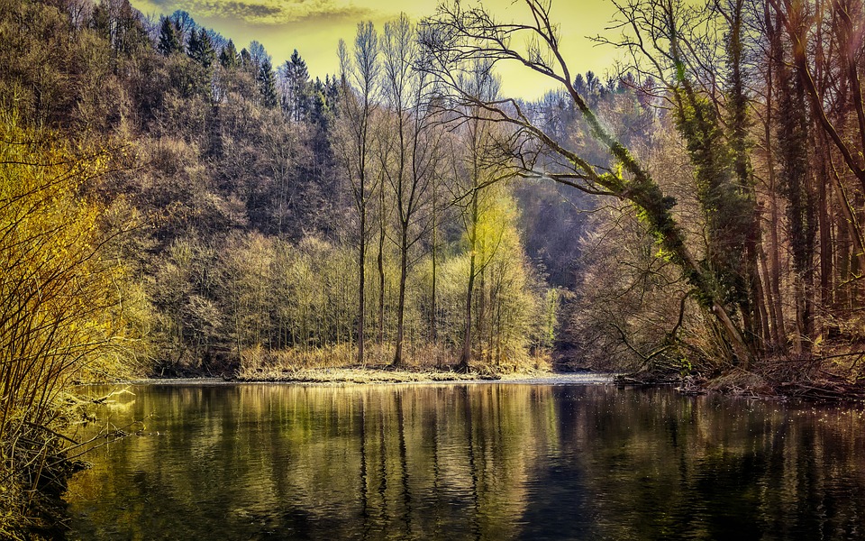 Lago com árvores em volta: fundo de água