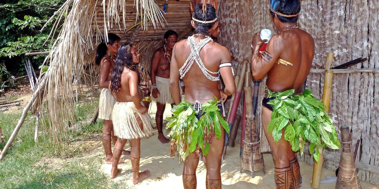 Terras indígenas: proteger para salvar a Amazônia