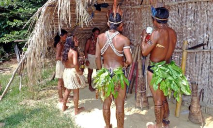 Terras indígenas: proteger para salvar a Amazônia