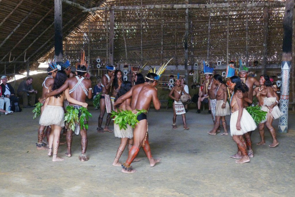 Amazônia: a importância das terras indígenas