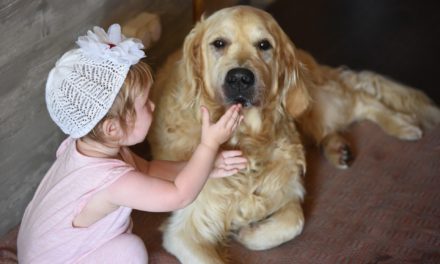 Olinda leva cães a crianças deficientes