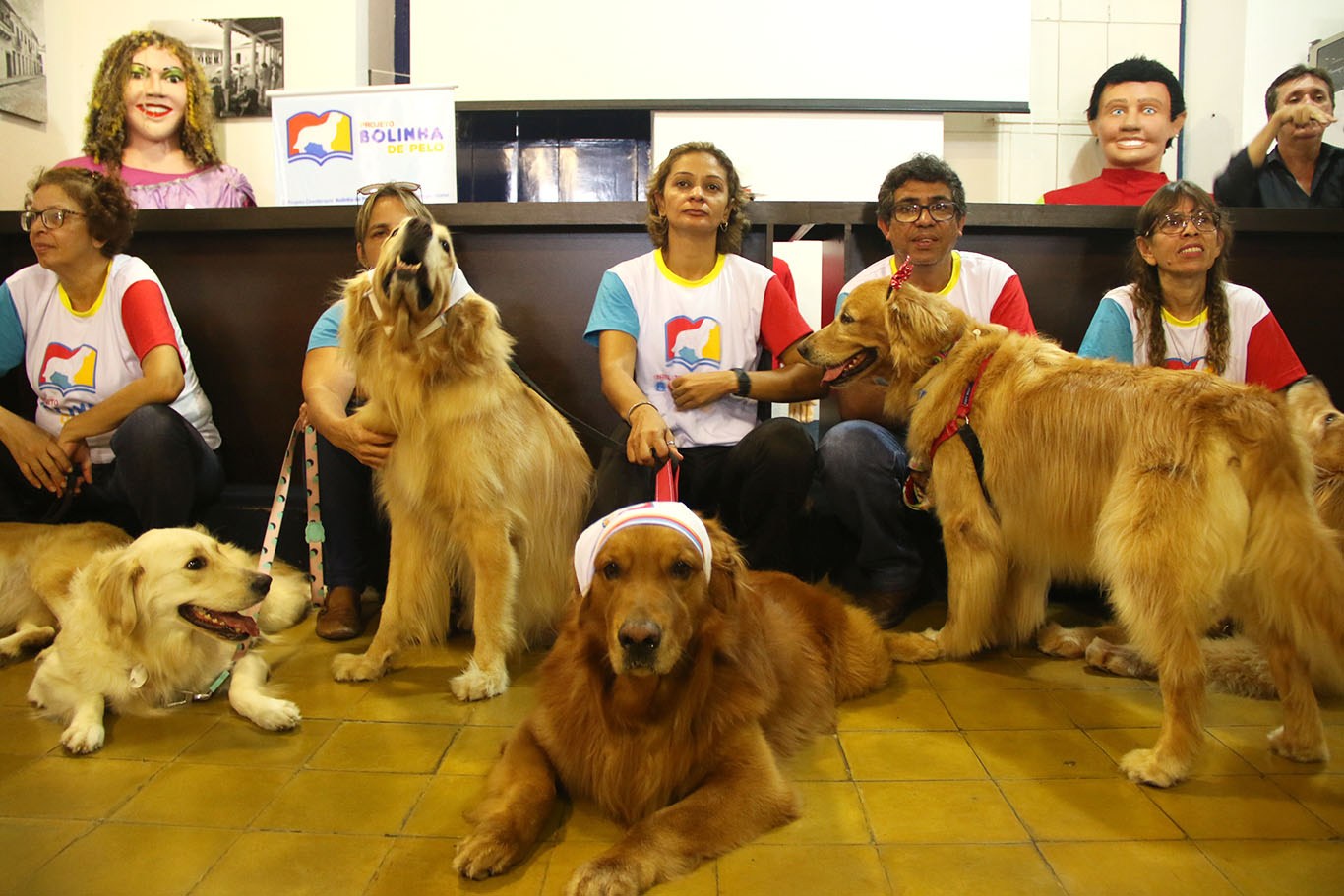 Cães do projeto Bolinha de Pelo, de Olinda.