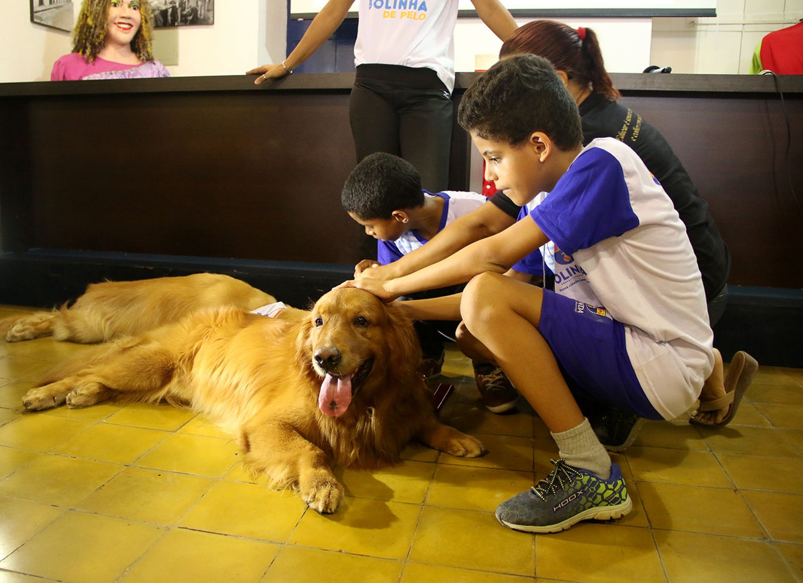 Cão do projeto Bolinha de Pelo interage com crianças deficientes.