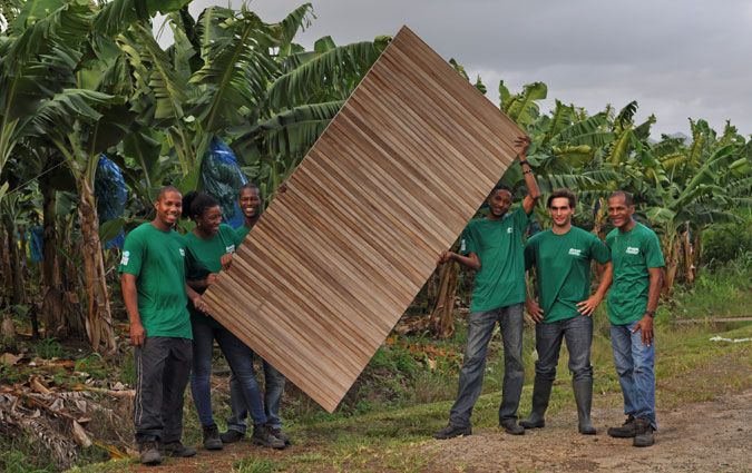 Funcionários da empresa francesa FibandCo na Martinica. Foto Divulgação
