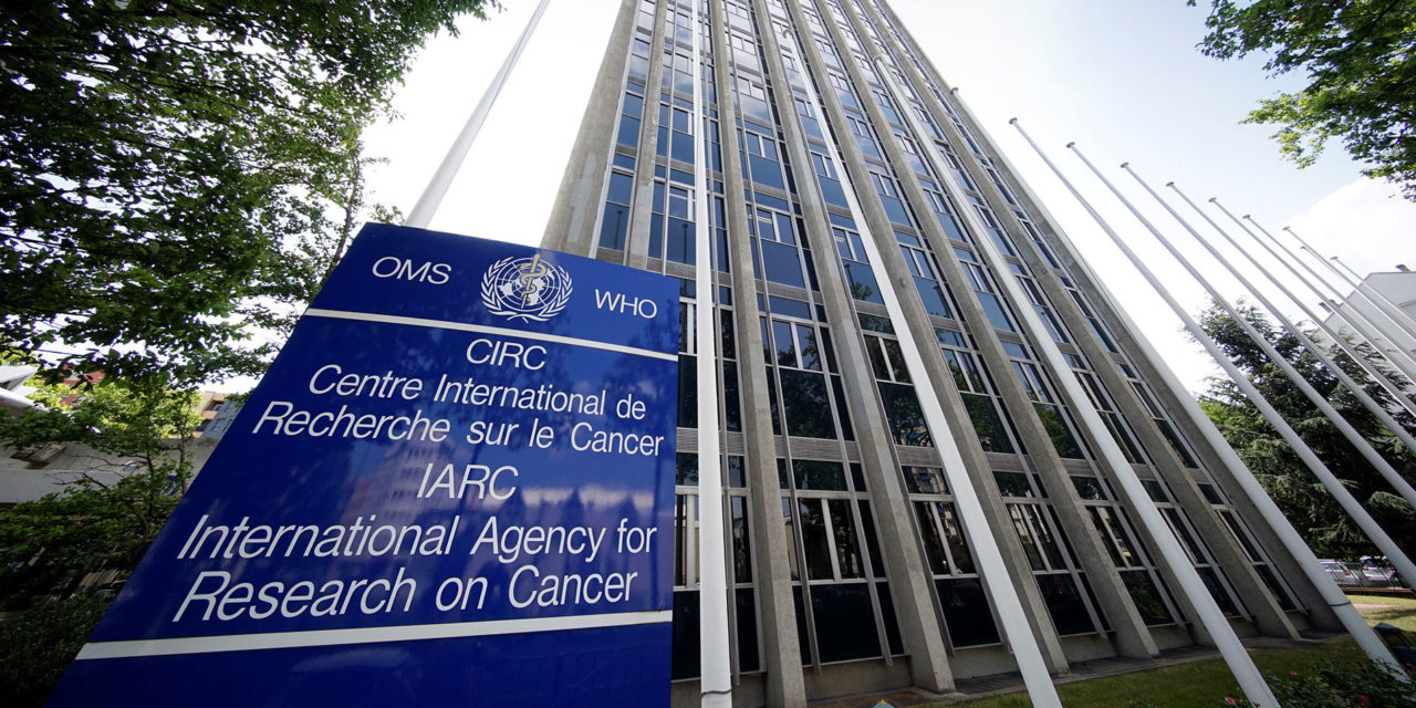 Brasileira assume direção da Agência Internacional de Pesquisa em Câncer