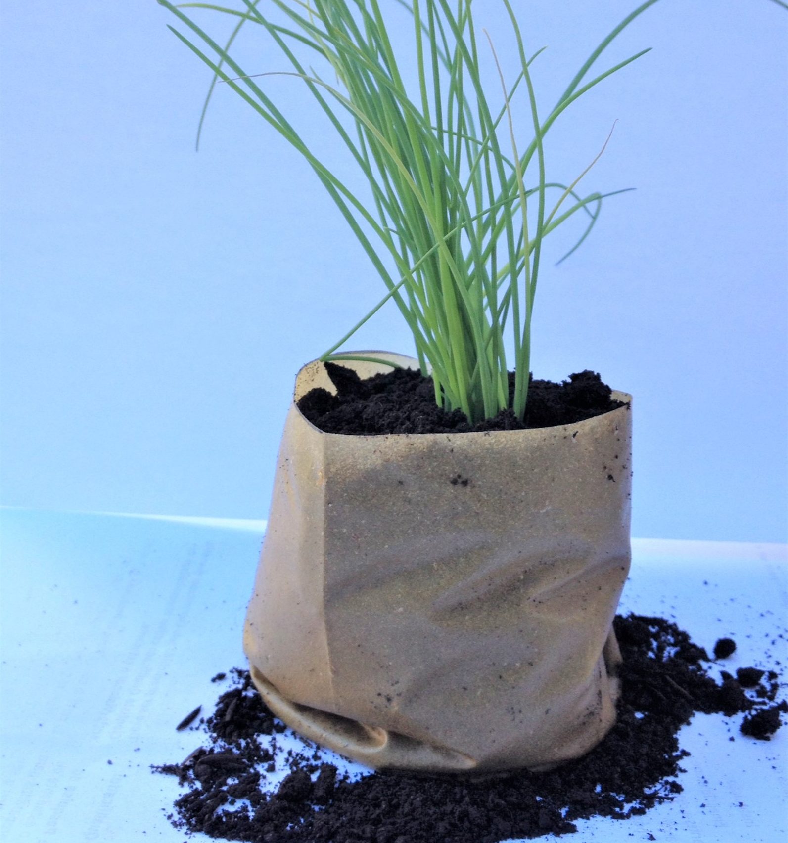 Bioplástico de maracujá embala mudas e pode ser plantado. Foto Divulgação