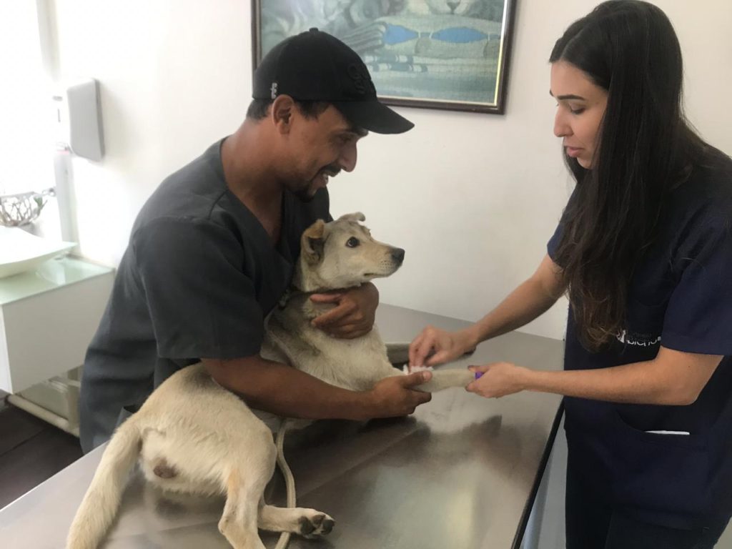 a veterinária Cintia e assistente na clínica Amigo Bicho 