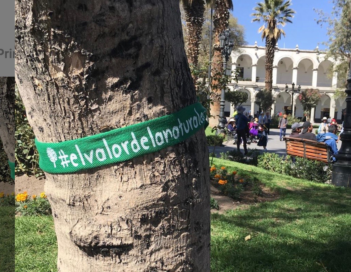 Árvore com faixa da campanha #elvalordelanaturaleza, no Peru